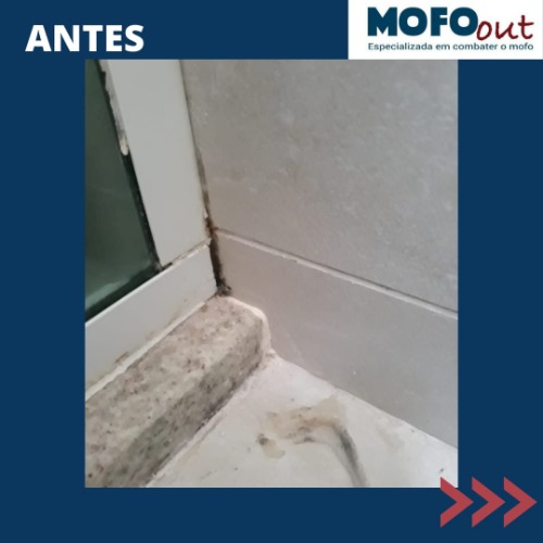 WhatsApp Image 2021-05-16 at 16.58.21.jpeg